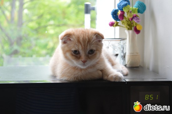 6 ����: ��� �����