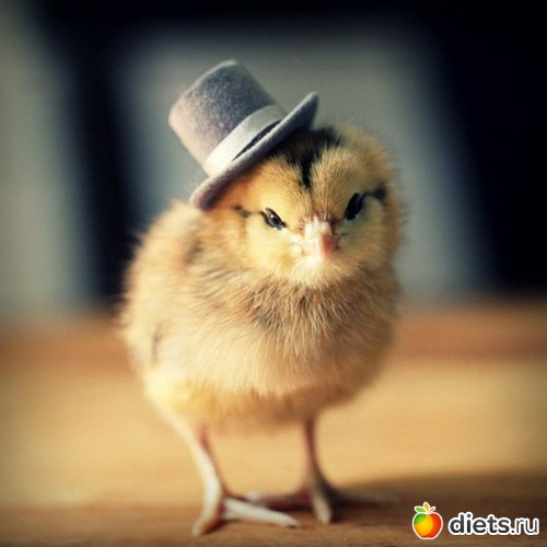 78 ����: ��� ������