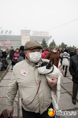 Не только люди страдают,но и животные