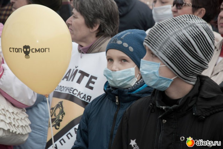 ���� �����. �� ��� �������� ���?, ������: ��������