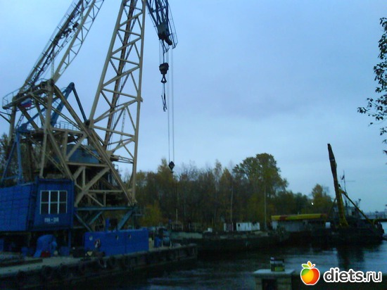 12 ����: ������