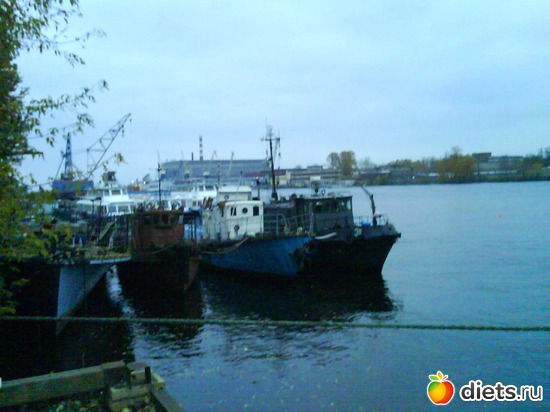 14 ����: ������