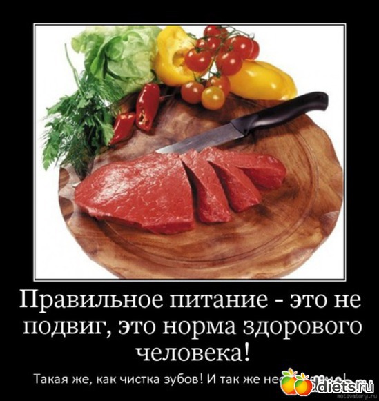 54 ����: ����, �� ���! (2)