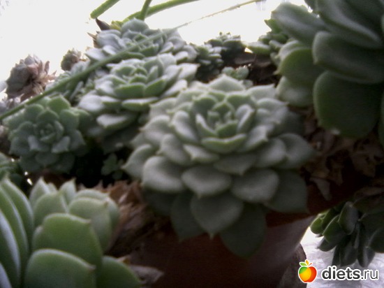 22 ����: ����� � ���� ����.