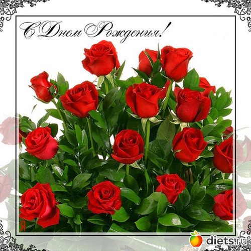 41 ����: ����������