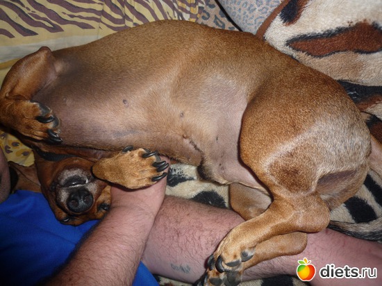 �����-������� ������, ������: ��� ����� � �