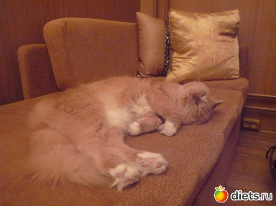 �����- ����� ������� �����, ������: ��� ����� � �