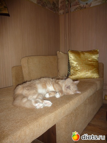 ���� ���� ����������� ����., ������: ��� ����� � �