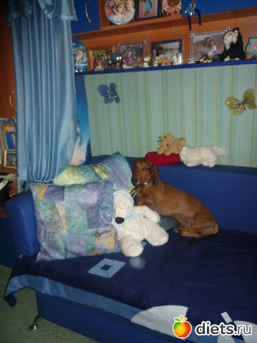 �����������,������ �����������., ������: ��� ����� � �