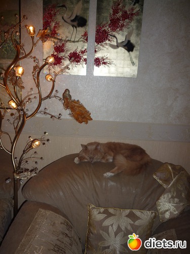 � ��� ��� �����..., ������: ��� ����� � �