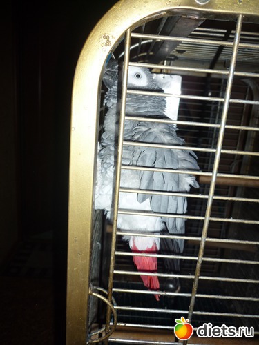 ������ ������ � ������ ������� ?, ������: ��� ����� � �