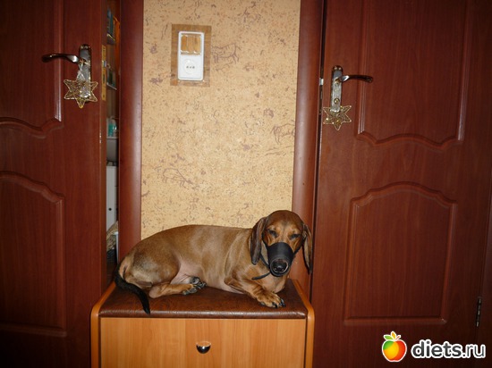 ������� ������ � ��� ��������., ������: ��� ����� � �