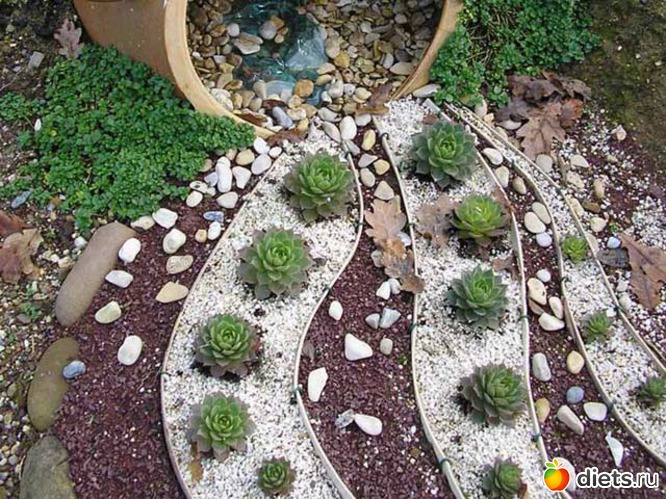 ����� ������, ������: ����