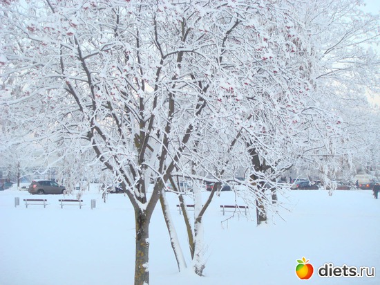 19 ����: ��� ������� �����!!!