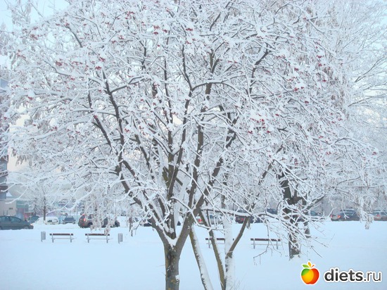 20 ����: ��� ������� �����!!!