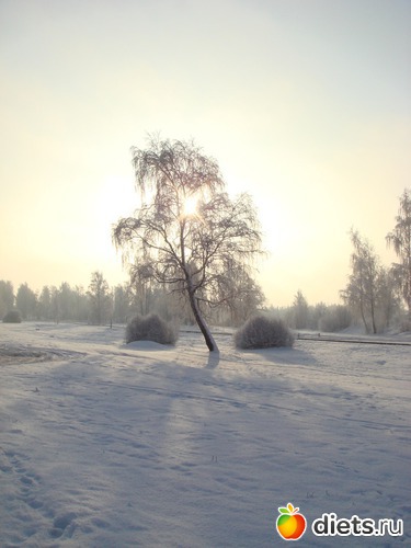 13 ����: ��� ������� �����!!!