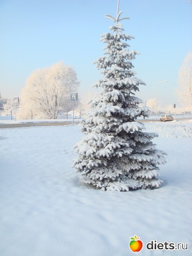 17 ����: ��� ������� �����!!!