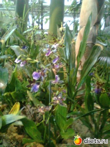 �������, ������: �������� ��� �����!