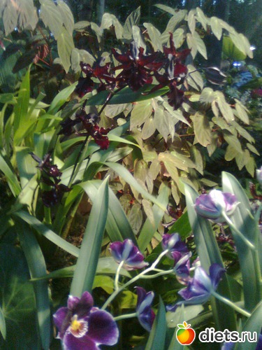 2 ����: �������� ��� �����!