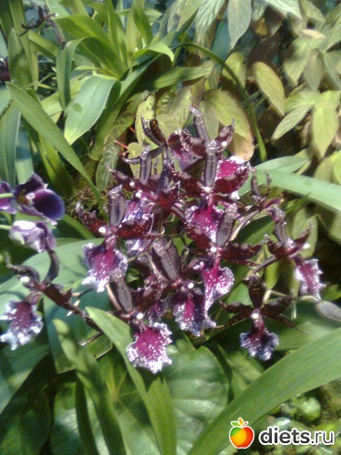 3 ����: �������� ��� �����!