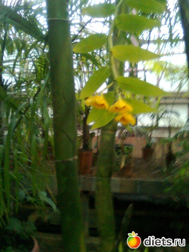 4 ����: �������� ��� �����!