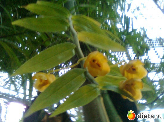 5 ����: �������� ��� �����!