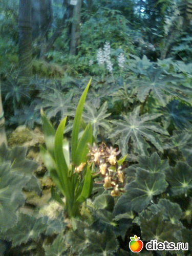 6 ����: �������� ��� �����!