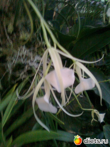 8 ����: �������� ��� �����!