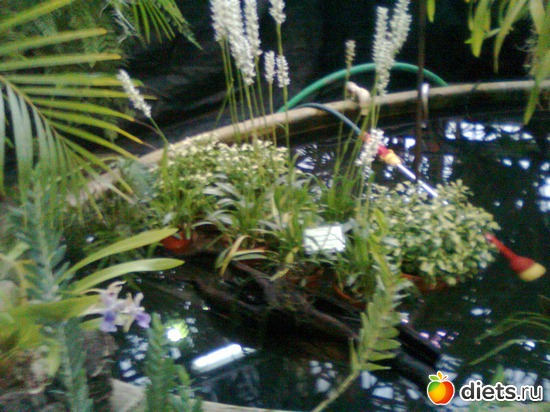 9 ����: �������� ��� �����!