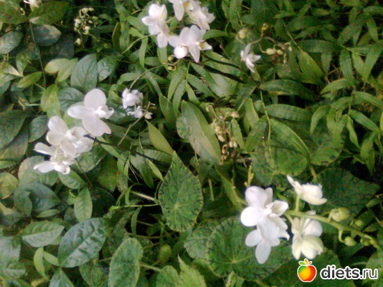 10 ����: �������� ��� �����!