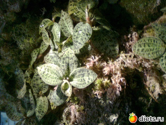 11 ����: �������� ��� �����!