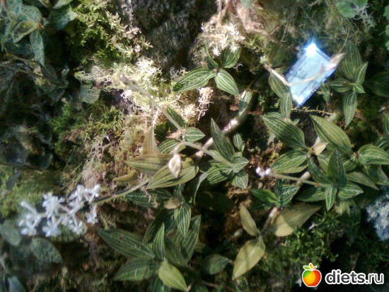 12 ����: �������� ��� �����!