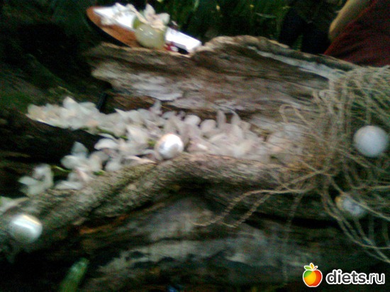 13 ����: �������� ��� �����!