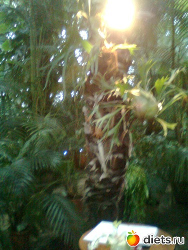 14 ����: �������� ��� �����!