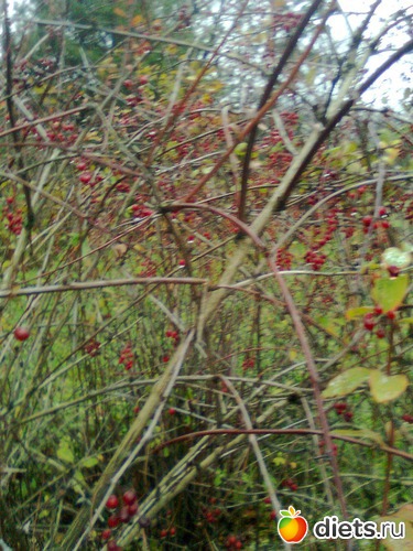 16 ����: �������� ��� �����!