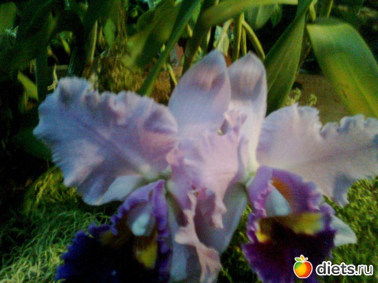 19 ����: �������� ��� �����!