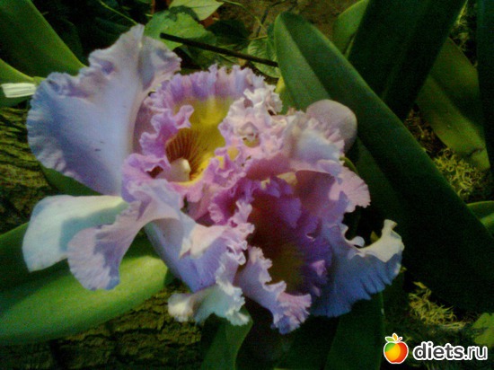 20 ����: �������� ��� �����!