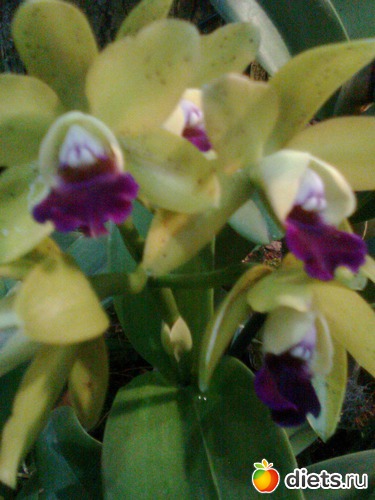 21 ����: �������� ��� �����!