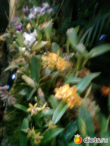 22 ����: �������� ��� �����!