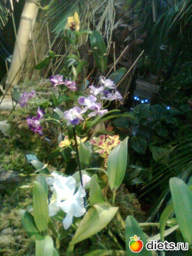 23 ����: �������� ��� �����!