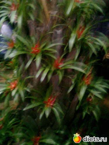 24 ����: �������� ��� �����!