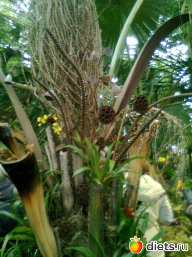 25 ����: �������� ��� �����!