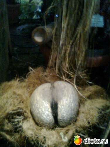 26 ����: �������� ��� �����!