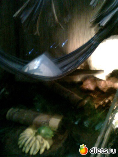 27 ����: �������� ��� �����!