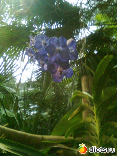 28 ����: �������� ��� �����!