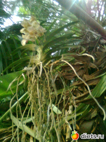 29 ����: �������� ��� �����!