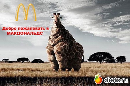 ����, �� ���! (2)