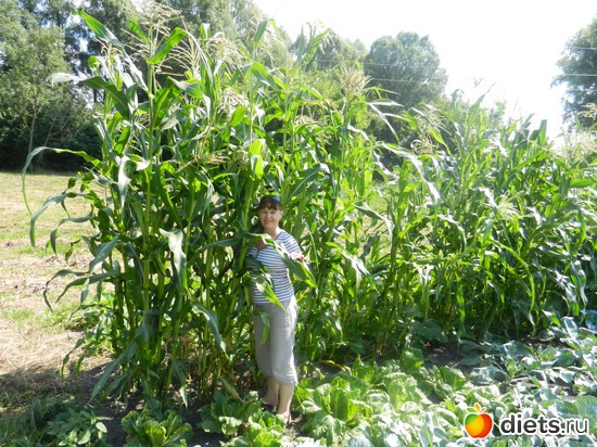 � ���� �� ����, ������: ��� �����