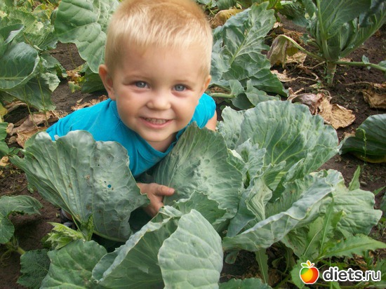 ������ ���������, ������: ��� �����