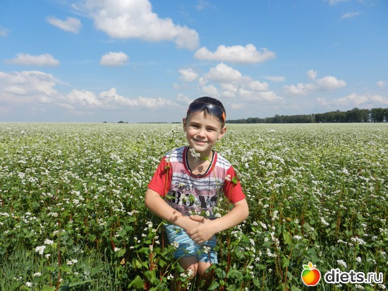 ������� ������ ������, ������: ��� �����